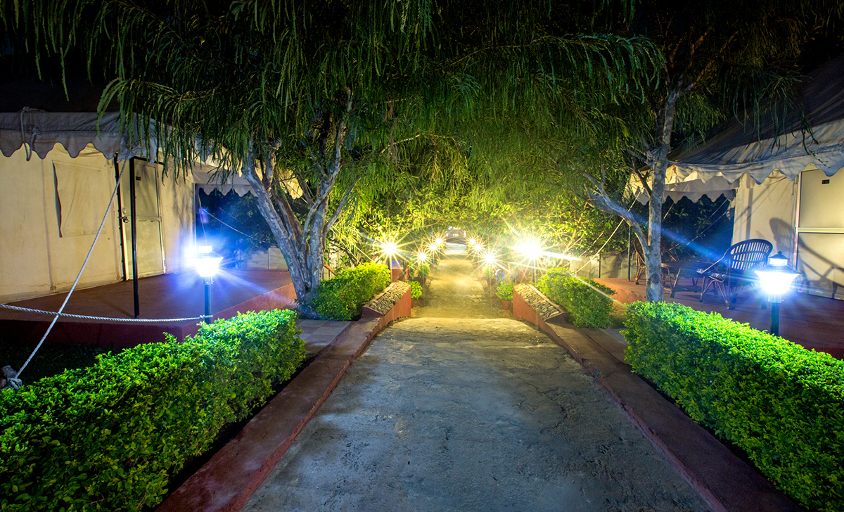 Deluxe Cottage in Ranthambhore